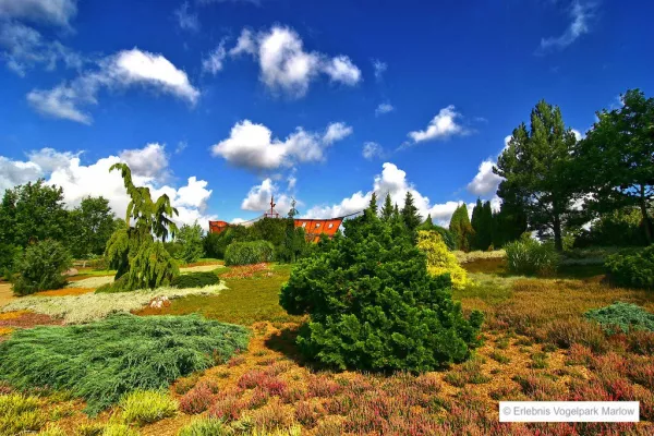 Vogelpark Marlow